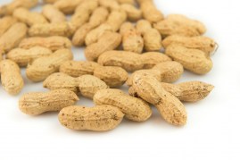 Groundnuts with shell